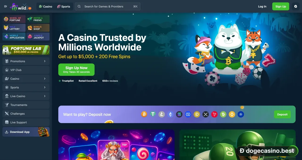 Wild.io casino homepage with an up to $5,000 plus 200 free spins welcome offer